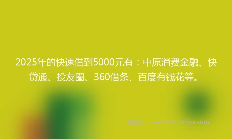 2025年的快速借到5000元有：中原消费金融、快贷通、投友圈、360借条、百度有钱花等。