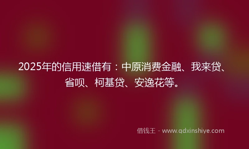 2025年的信用速借有：中原消费金融、我来贷、省呗、柯基贷、安逸花等。