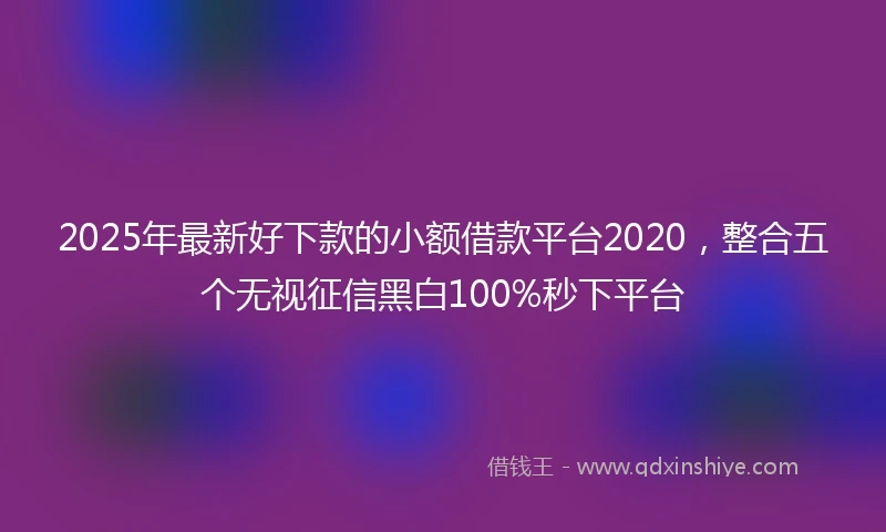 2025年最新好下款的小额借款平台2020，整合五个无视征信黑白100%秒下平台