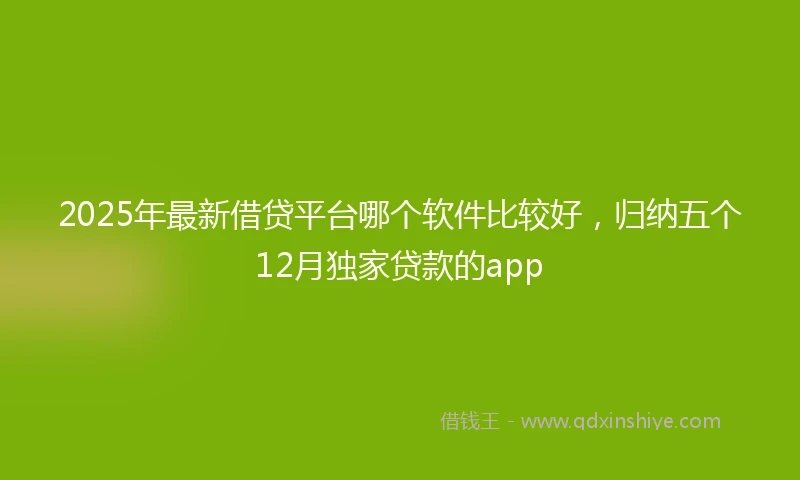 2025年最新借贷平台哪个软件比较好，归纳五个12月独家贷款的app