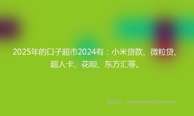 2025年的口子超市2024有：小米贷款、微粒贷、超人卡、花呗、东方汇等。