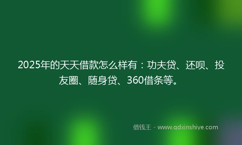 2025年的天天借款怎么样有：功夫贷、还呗、投友圈、随身贷、360借条等。