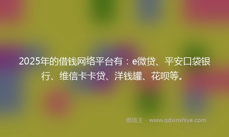 2025年的借钱网络平台有：e微贷、平安口袋银行、维信卡卡贷、洋钱罐、花呗等。