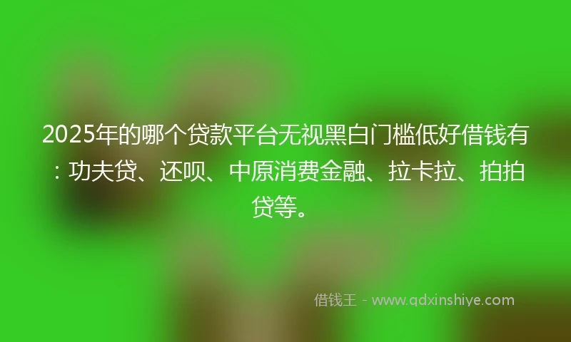 2025年的哪个贷款平台无视黑白门槛低好借钱有：功夫贷、还呗、中原消费金融、拉卡拉、拍拍贷等。