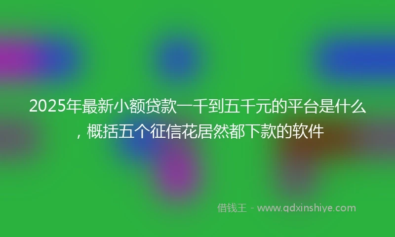 2025年最新小额贷款一千到五千元的平台是什么，概括五个征信花居然都下款的软件