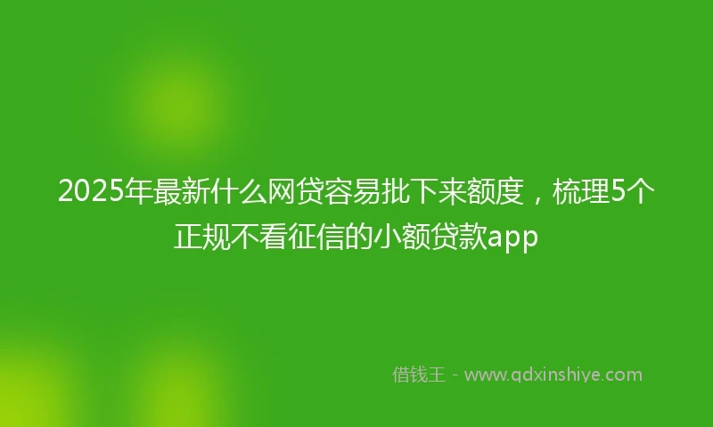 2025年最新什么网贷容易批下来额度，梳理5个正规不看征信的小额贷款app