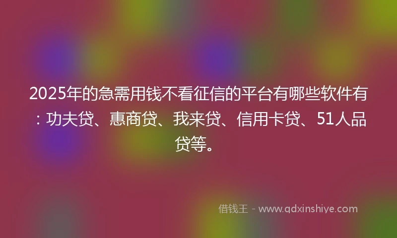 2025年的急需用钱不看征信的平台有哪些软件有：功夫贷、惠商贷、我来贷、信用卡贷、51人品贷等。