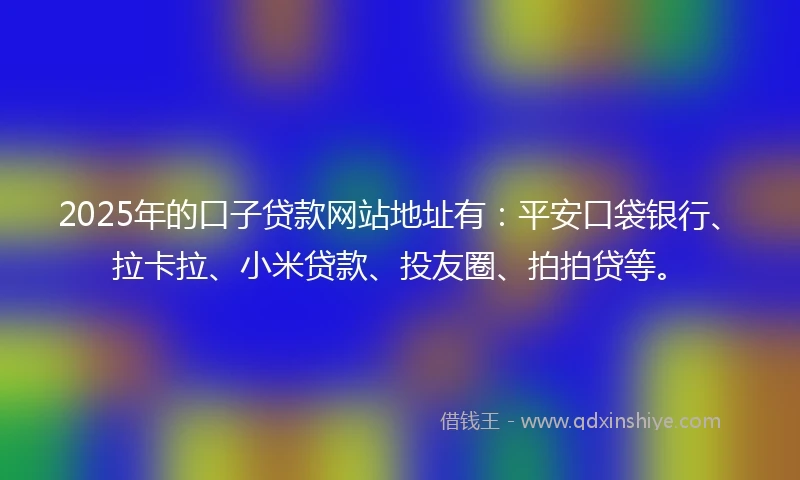 2025年的口子贷款网站地址有：平安口袋银行、拉卡拉、小米贷款、投友圈、拍拍贷等。