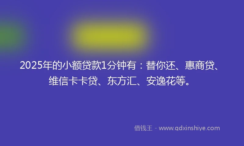 2025年的小额贷款1分钟有：替你还、惠商贷、维信卡卡贷、东方汇、安逸花等。