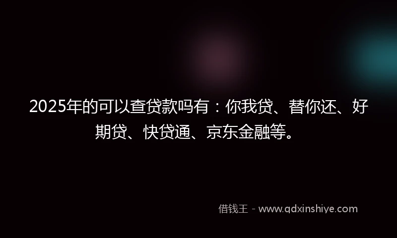 2025年的可以查贷款吗有：你我贷、替你还、好期贷、快贷通、京东金融等。