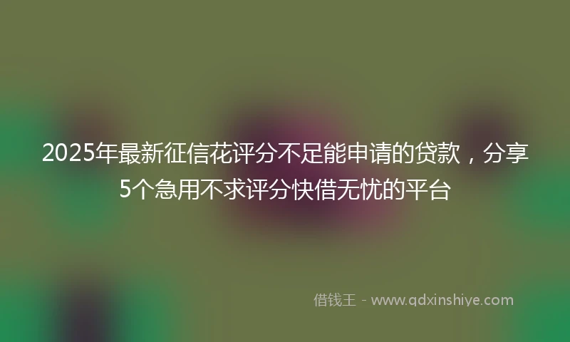 2025年最新征信花评分不足能申请的贷款，分享5个急用不求评分快借无忧的平台