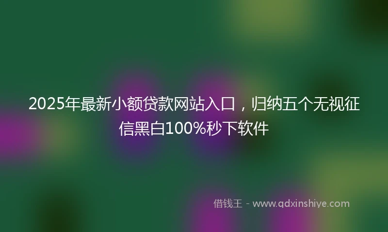 2025年最新小额贷款网站入口，归纳五个无视征信黑白100%秒下软件