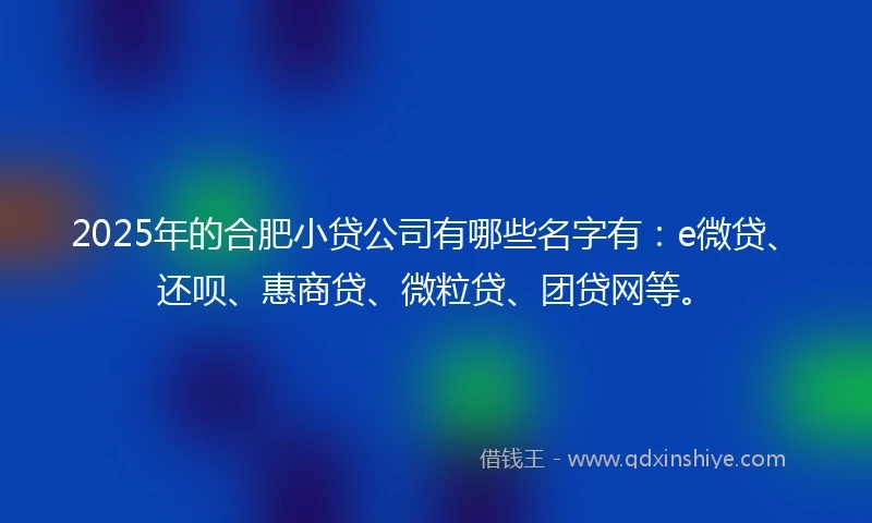 2025年的合肥小贷公司有哪些名字有：e微贷、还呗、惠商贷、微粒贷、团贷网等。