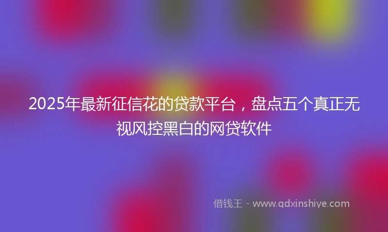 2025年最新征信花的贷款平台，盘点五个真正无视风控黑白的网贷软件