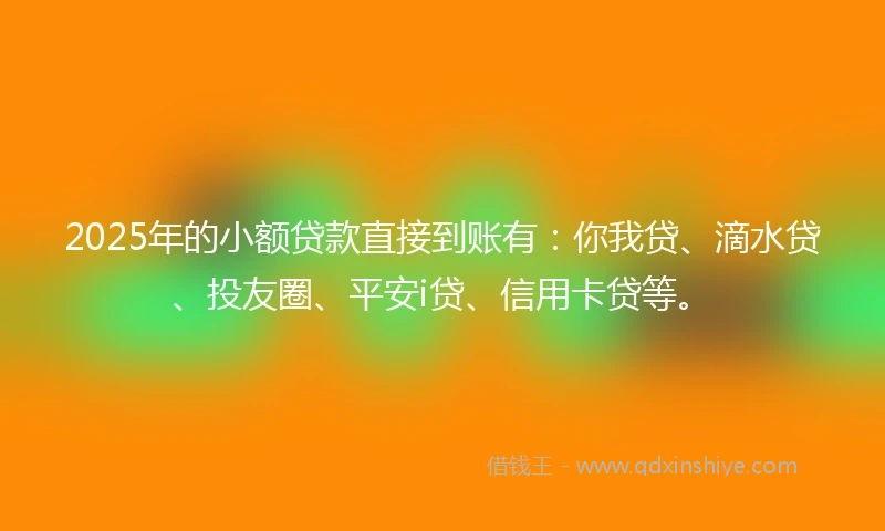 2025年的小额贷款直接到账有：你我贷、滴水贷、投友圈、平安i贷、信用卡贷等。