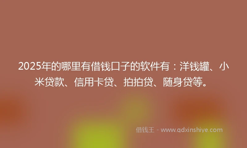 2025年的哪里有借钱口子的软件有：洋钱罐、小米贷款、信用卡贷、拍拍贷、随身贷等。