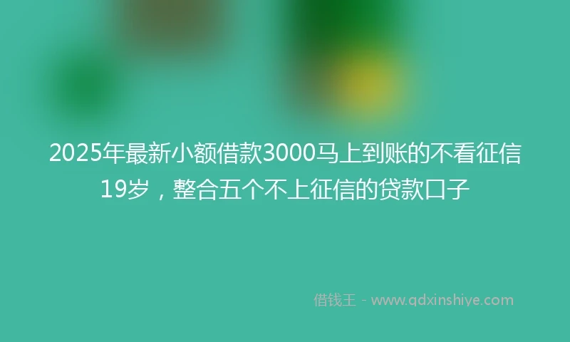 2025年最新小额借款3000马上到账的不看征信19岁，整合五个不上征信的贷款口子