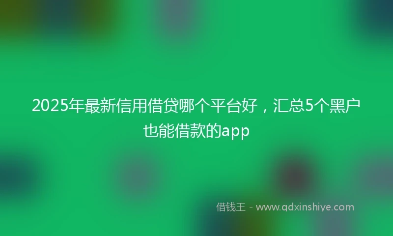 2025年最新信用借贷哪个平台好，汇总5个黑户也能借款的app