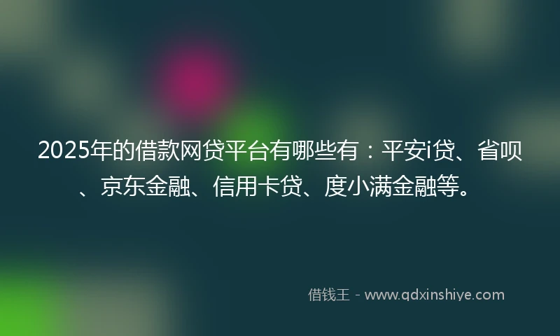 2025年的借款网贷平台有哪些有：平安i贷、省呗、京东金融、信用卡贷、度小满金融等。