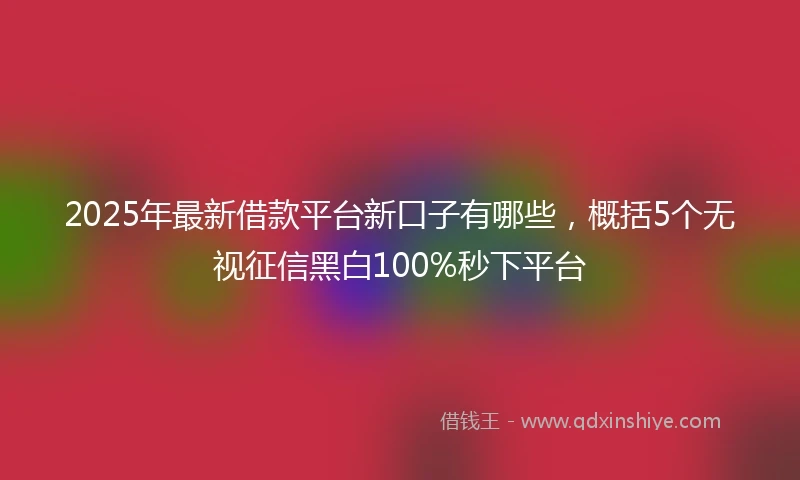2025年最新借款平台新口子有哪些，概括5个无视征信黑白100%秒下平台