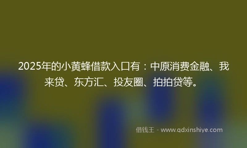 2025年的小黄蜂借款入口有：中原消费金融、我来贷、东方汇、投友圈、拍拍贷等。