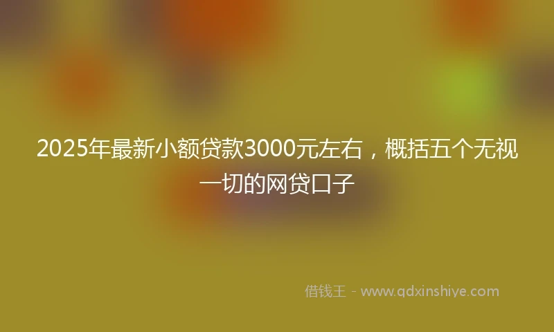 2025年最新小额贷款3000元左右，概括五个无视一切的网贷口子