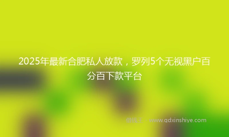 2025年最新合肥私人放款，罗列5个无视黑户百分百下款平台