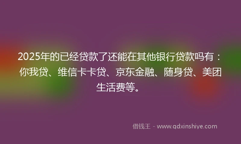 2025年的已经贷款了还能在其他银行贷款吗有：你我贷、维信卡卡贷、京东金融、随身贷、美团生活费等。