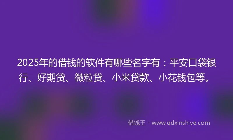 2025年的借钱的软件有哪些名字有：平安口袋银行、好期贷、微粒贷、小米贷款、小花钱包等。