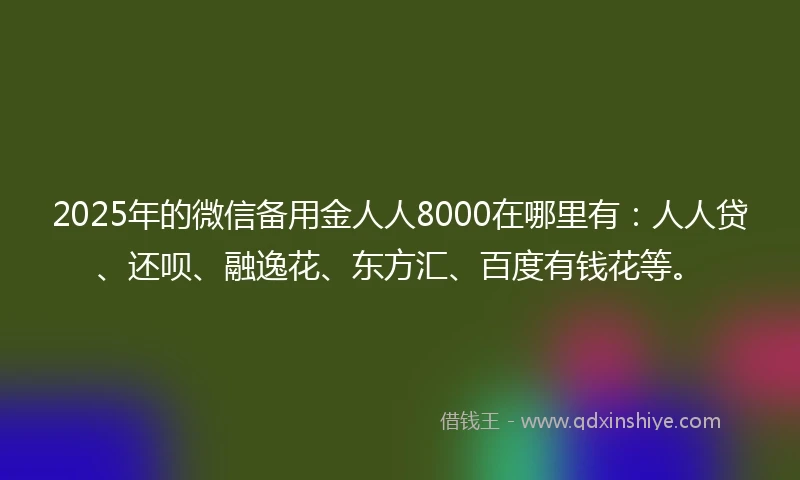 2025年的微信备用金人人8000在哪里有：人人贷、还呗、融逸花、东方汇、百度有钱花等。