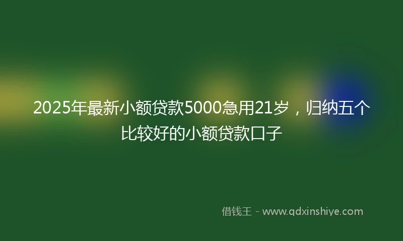 2025年最新小额贷款5000急用21岁，归纳五个比较好的小额贷款口子