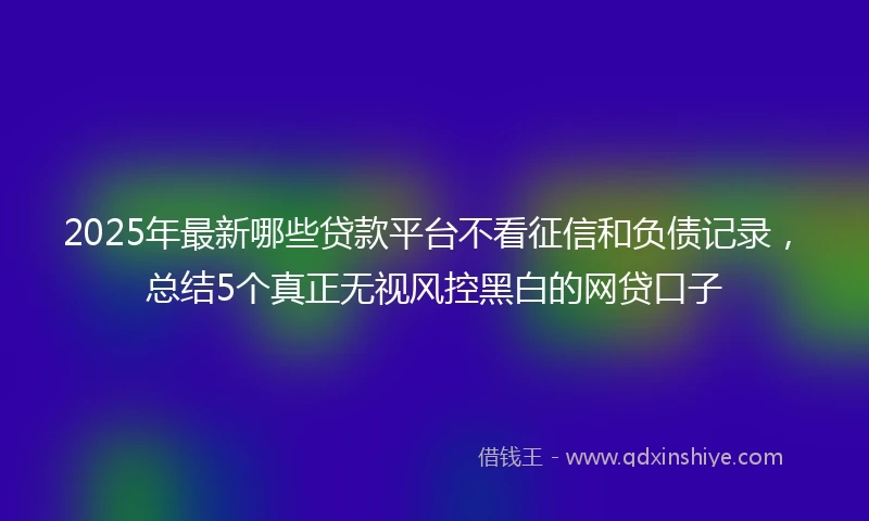 2025年最新哪些贷款平台不看征信和负债记录，总结5个真正无视风控黑白的网贷口子