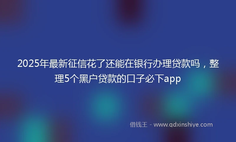 2025年最新征信花了还能在银行办理贷款吗，整理5个黑户贷款的口子必下app