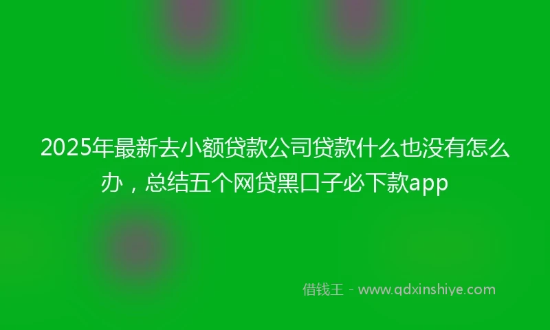 2025年最新去小额贷款公司贷款什么也没有怎么办，总结五个网贷黑口子必下款app