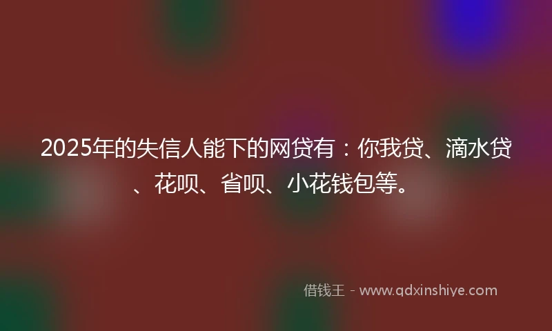 2025年的失信人能下的网贷有：你我贷、滴水贷、花呗、省呗、小花钱包等。
