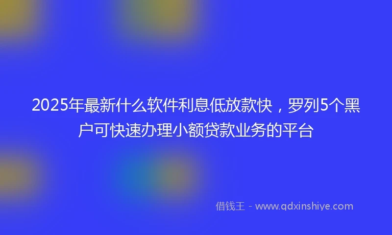 2025年最新什么软件利息低放款快，罗列5个黑户可快速办理小额贷款业务的平台