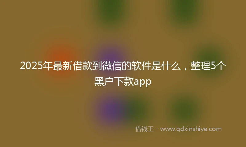 2025年最新借款到微信的软件是什么，整理5个黑户下款app