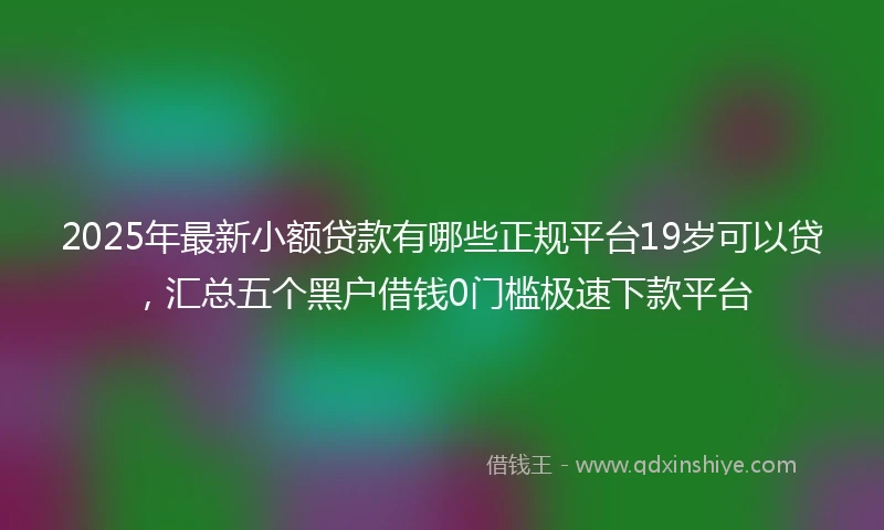 2025年最新小额贷款有哪些正规平台19岁可以贷，汇总五个黑户借钱0门槛极速下款平台