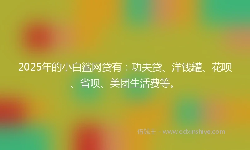 2025年的小白鲨网贷有：功夫贷、洋钱罐、花呗、省呗、美团生活费等。