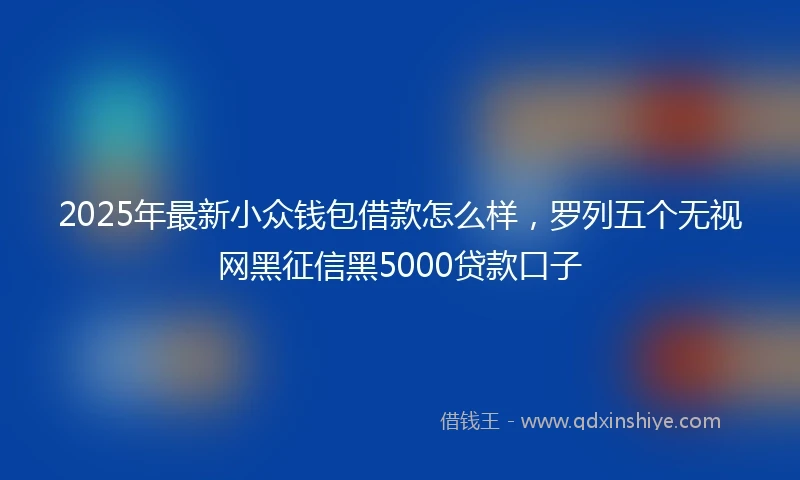 2025年最新小众钱包借款怎么样，罗列五个无视网黑征信黑5000贷款口子