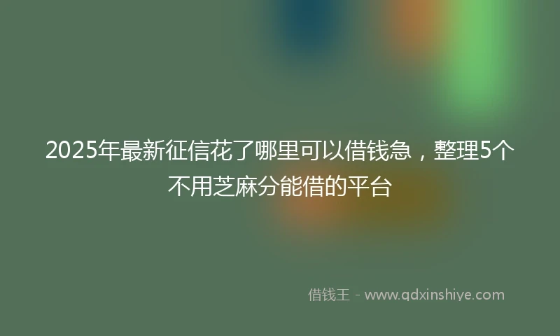 2025年最新征信花了哪里可以借钱急，整理5个不用芝麻分能借的平台