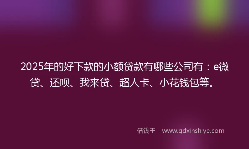 2025年的好下款的小额贷款有哪些公司有：e微贷、还呗、我来贷、超人卡、小花钱包等。
