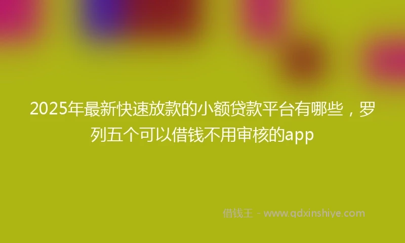 2025年最新快速放款的小额贷款平台有哪些，罗列五个可以借钱不用审核的app