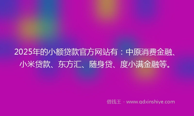 2025年的小额贷款官方网站有：中原消费金融、小米贷款、东方汇、随身贷、度小满金融等。