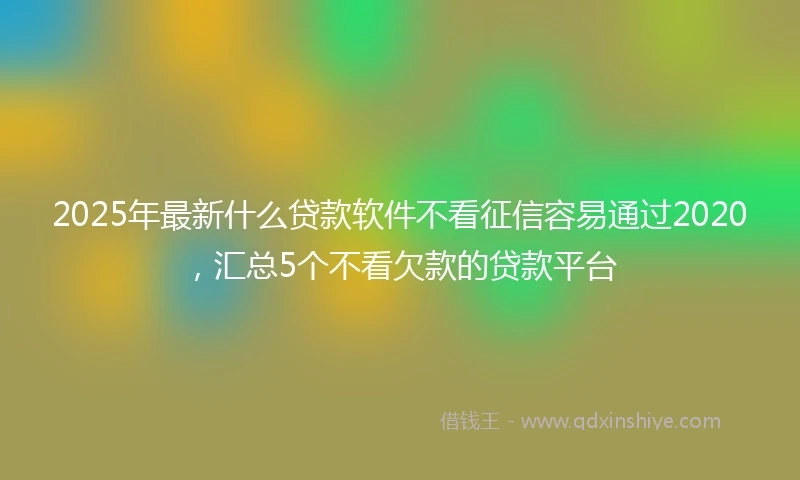 2025年最新什么贷款软件不看征信容易通过2020，汇总5个不看欠款的贷款平台