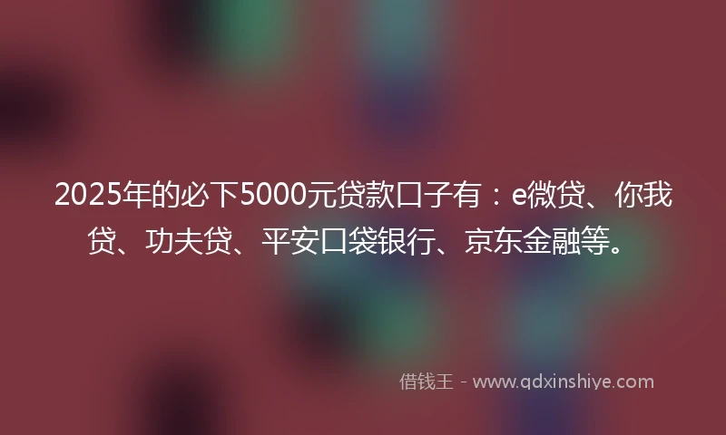 2025年的必下5000元贷款口子有：e微贷、你我贷、功夫贷、平安口袋银行、京东金融等。