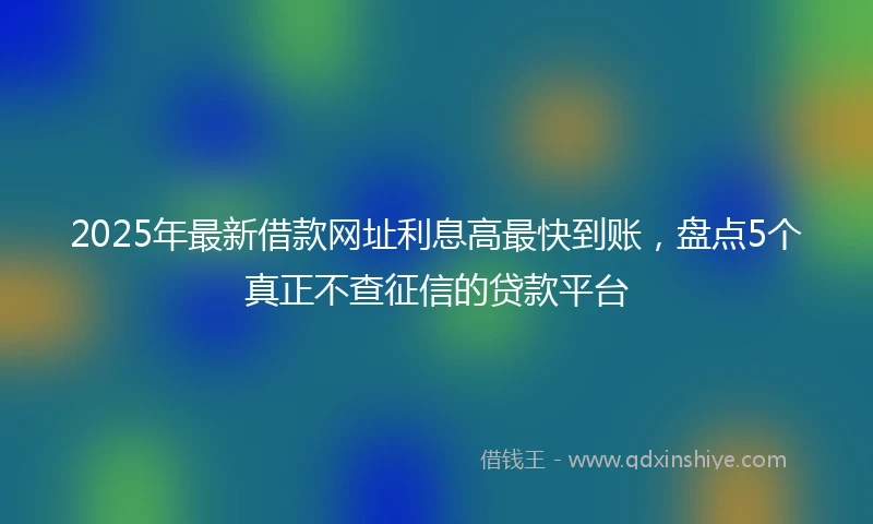 2025年最新借款网址利息高最快到账，盘点5个真正不查征信的贷款平台