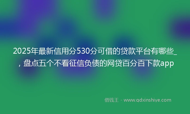 2025年最新信用分530分可借的贷款平台有哪些_，盘点五个不看征信负债的网贷百分百下款app