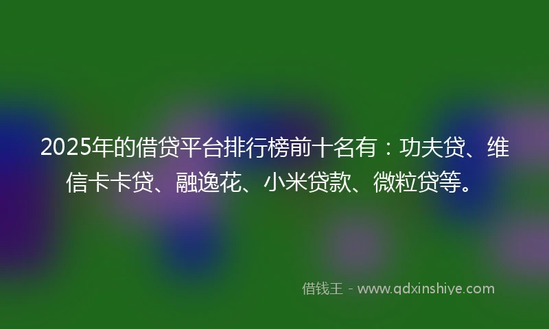 2025年的借贷平台排行榜前十名有：功夫贷、维信卡卡贷、融逸花、小米贷款、微粒贷等。