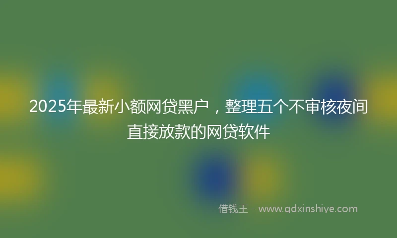 2025年最新小额网贷黑户，整理五个不审核夜间直接放款的网贷软件
